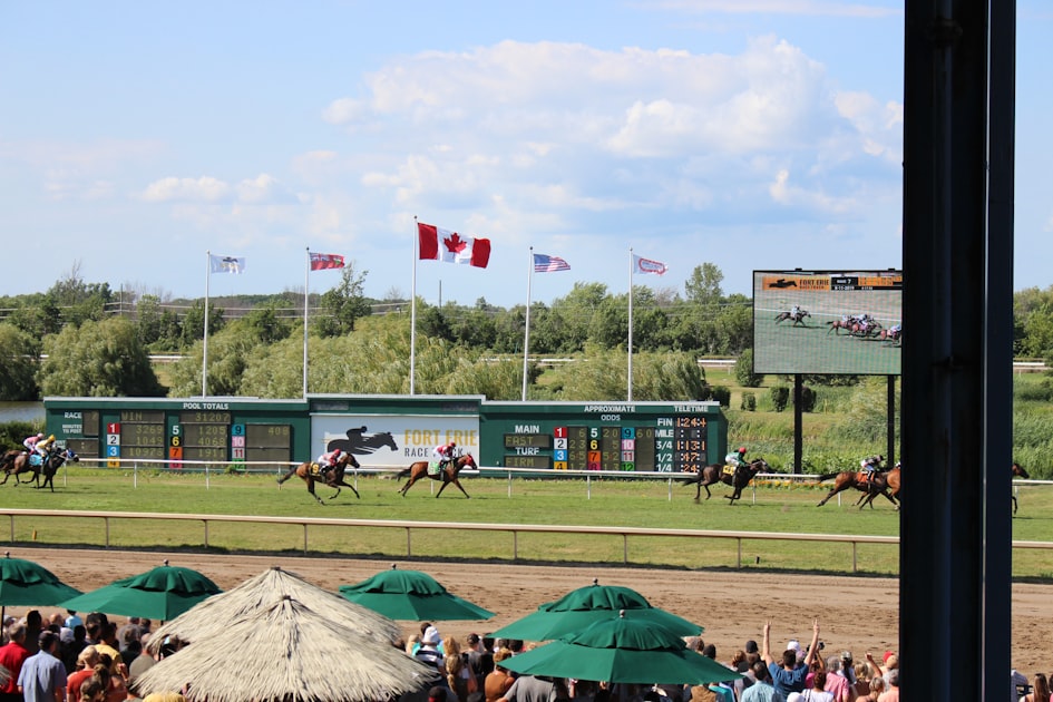 串关策略：应对网络诈骗的心理支持指南